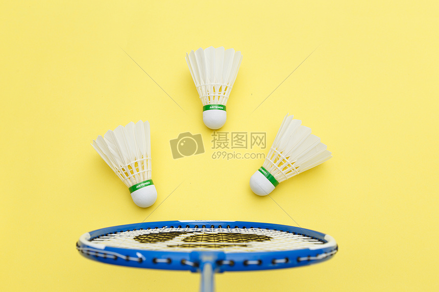 丽诺混纺 丽诺混纺